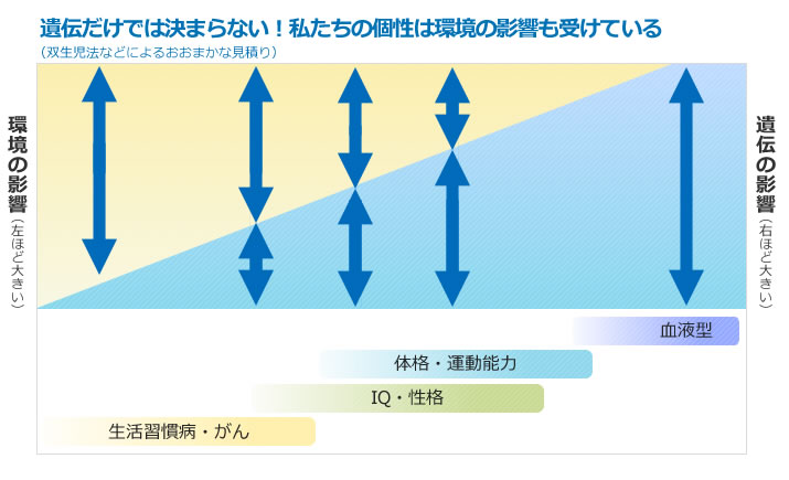 遺伝子の影響 ヨコミネ式 幼児教室 とキッズネクスト 学童 のご案内